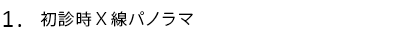 初診時X線パノラマ