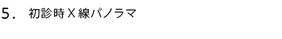 初診時X線パノラマ