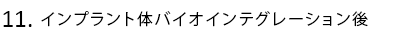 インプラント体バイオインテグレーション後